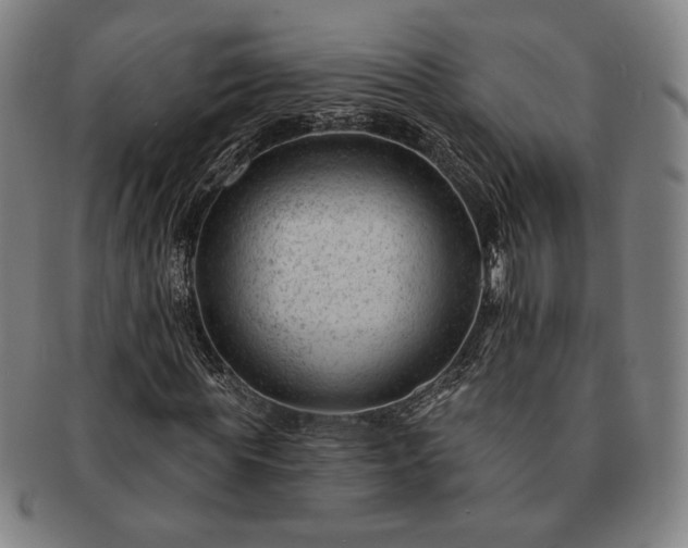 X0000091470819200708231336