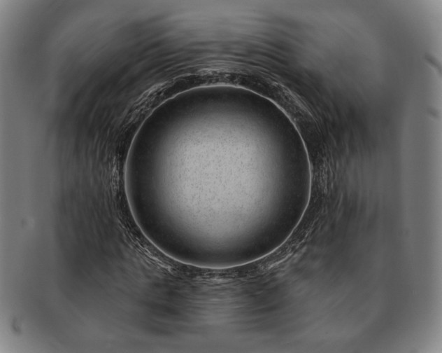 X0000091470821200708231336