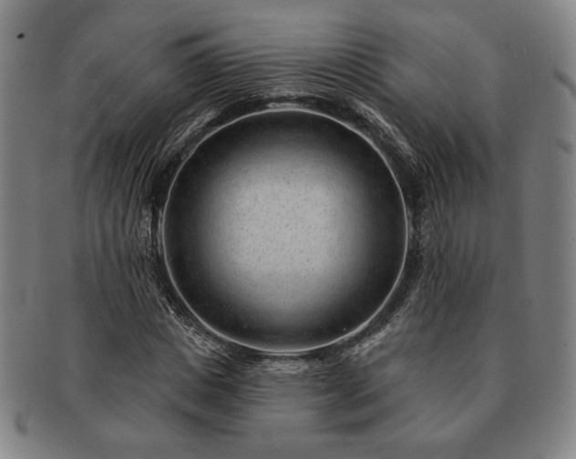 X0000091470825200708231336