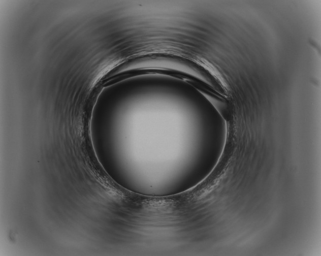 X0000091470826200708231336