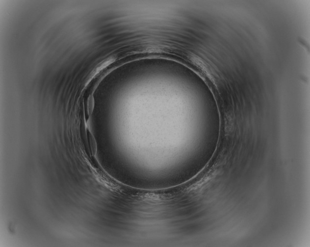 X0000091470827200708231336