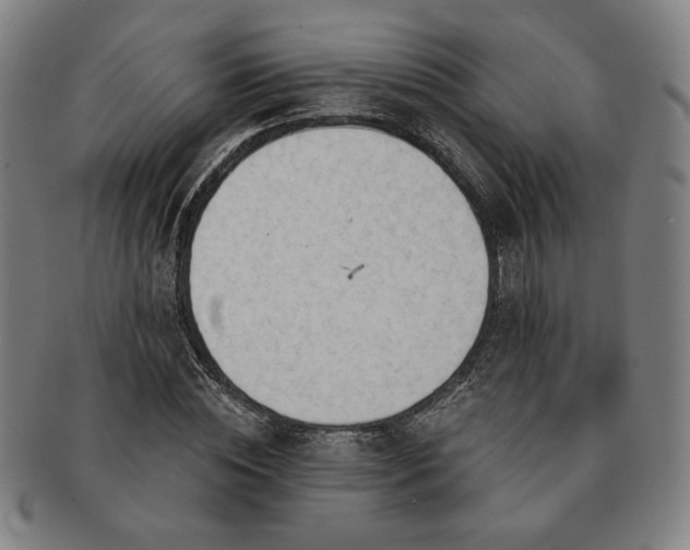 X0000091470828200708231336