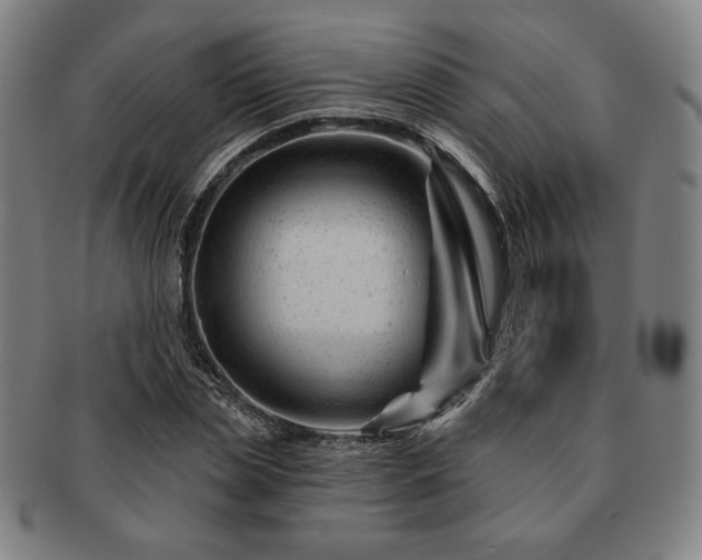 X0000091470829200708231336