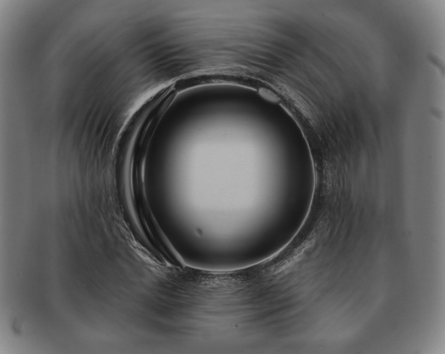 X0000091470830200708231336