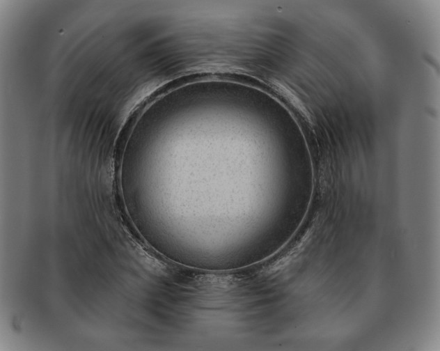 X0000091470831200708231336