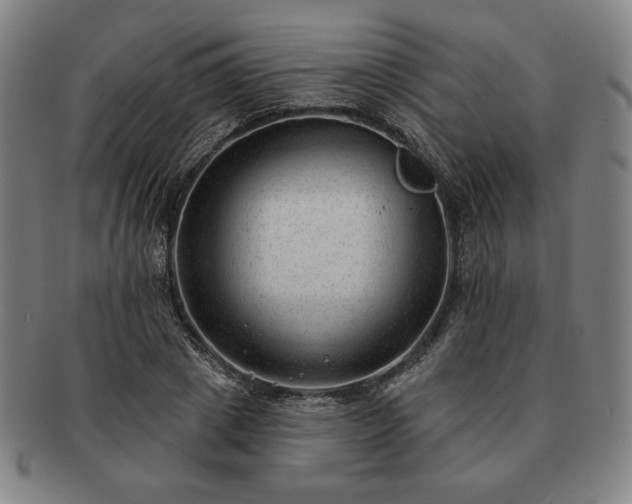 X0000091470833200708231336