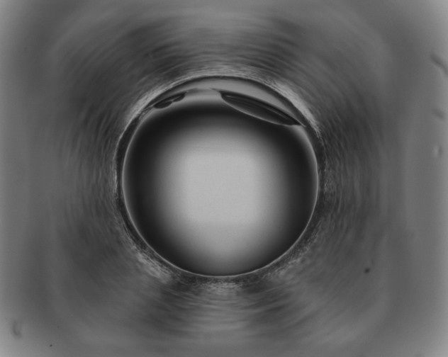 X0000091470837200708231336