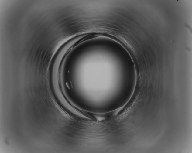 X0000091470838200708231336