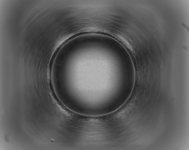 X0000091470839200708231336