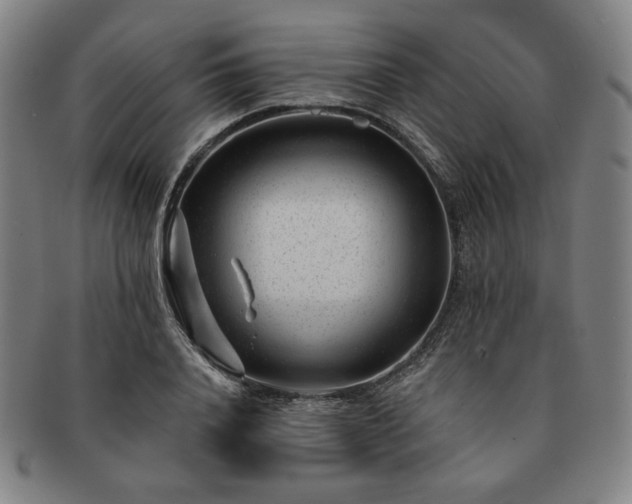 X0000091470840200708231336