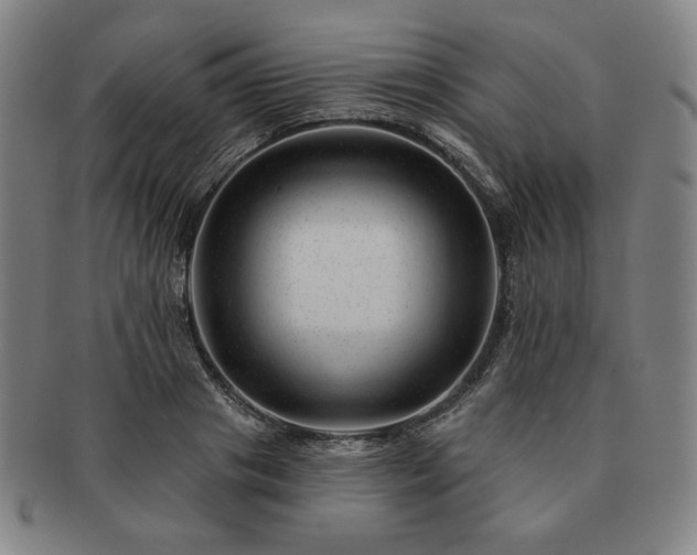 X0000091470841200708231336