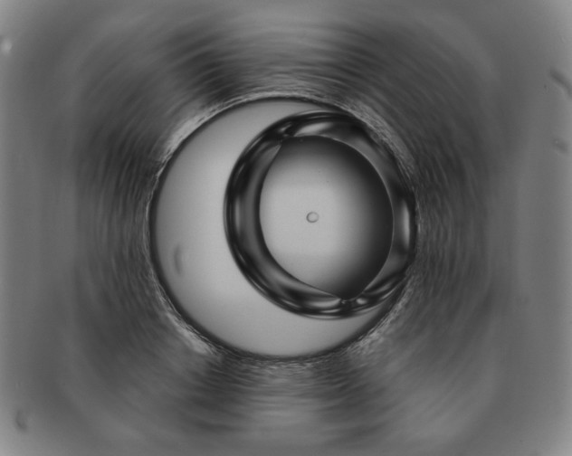 X0000091470842200708231336