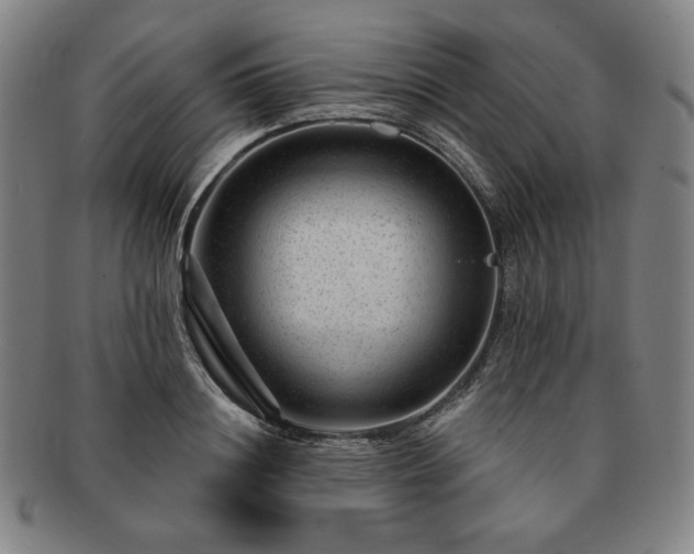 X0000091470844200708231336