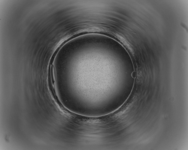 X0000091470845200708231336