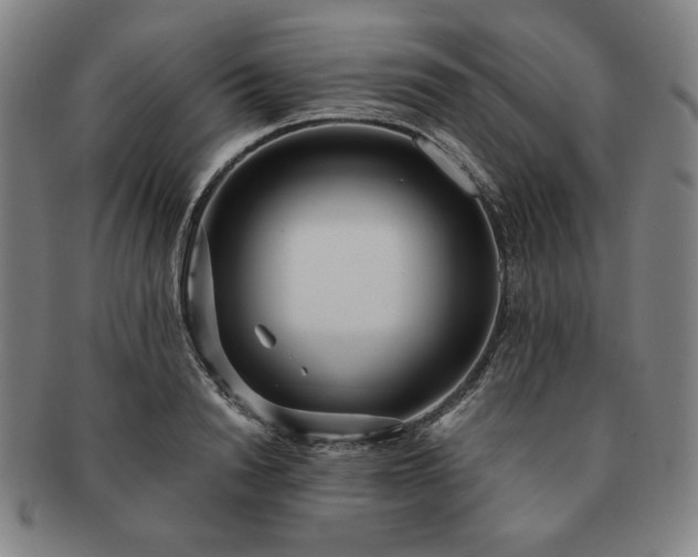 X0000091470846200708231336