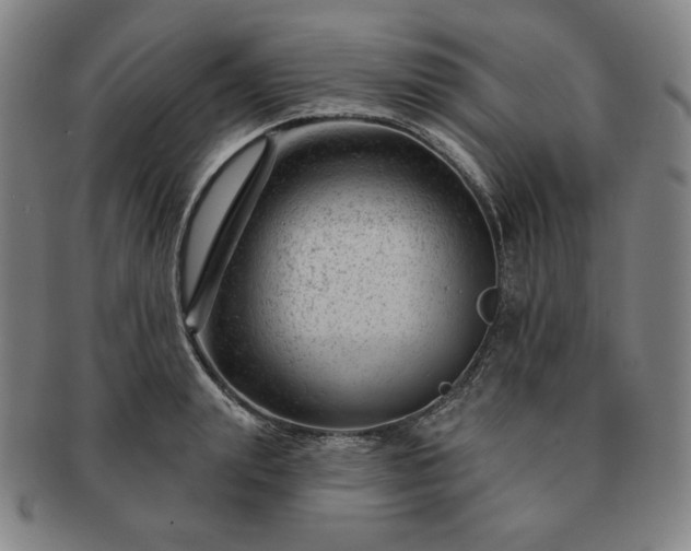 X0000091470847200708231336