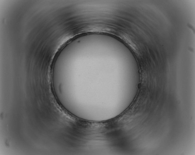 X0000091470848200708231336