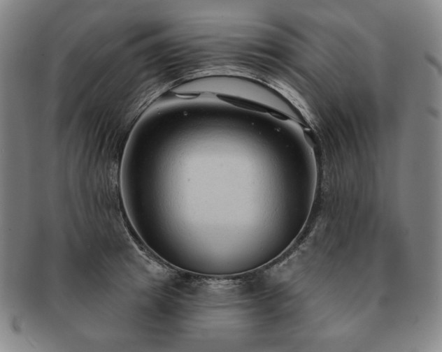 X0000091470849200708231336