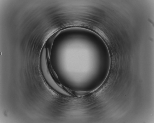 X0000091470850200708231336