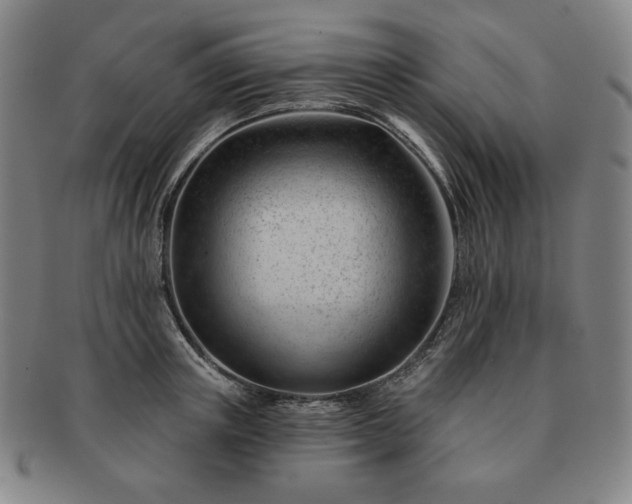 X0000091470851200708231336