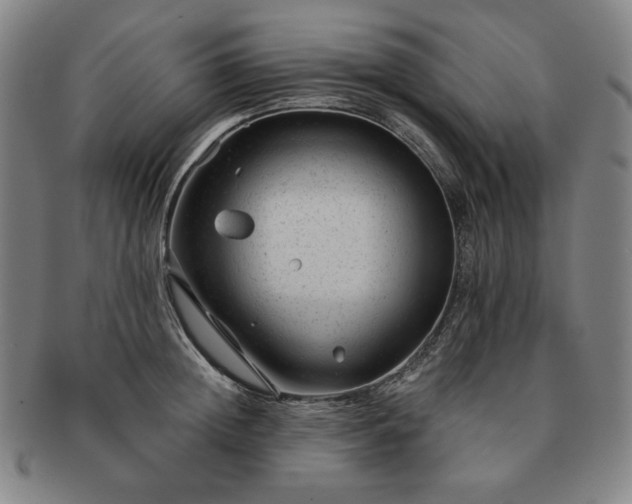 X0000091470852200708231336