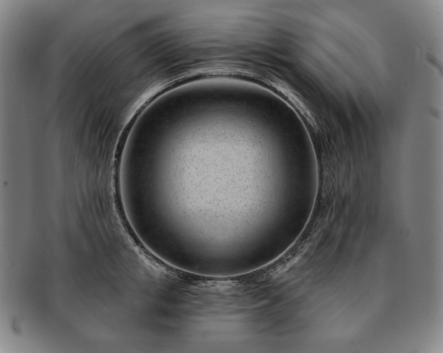 X0000091470853200708231336