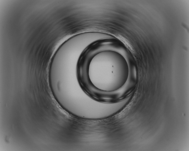 X0000091470854200708231336