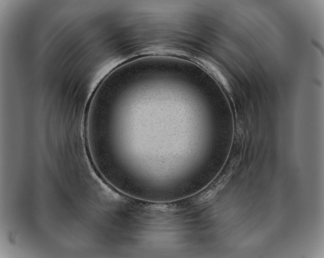 X0000091470855200708231336