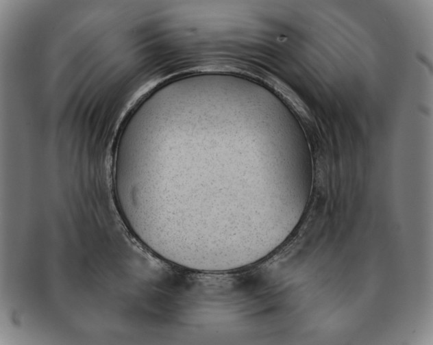 X0000091470856200708231336