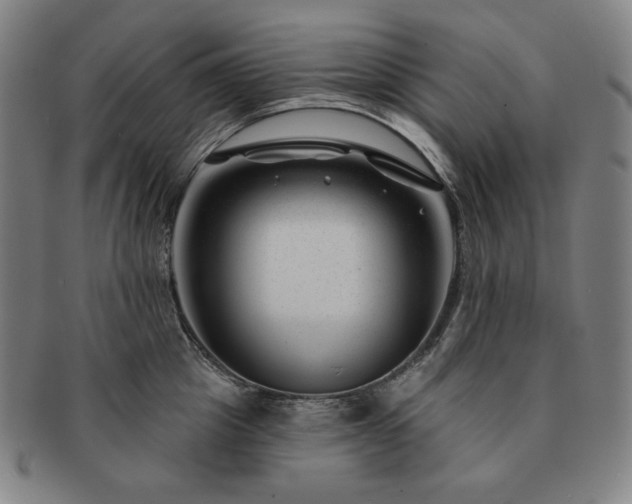 X0000091470857200708231336