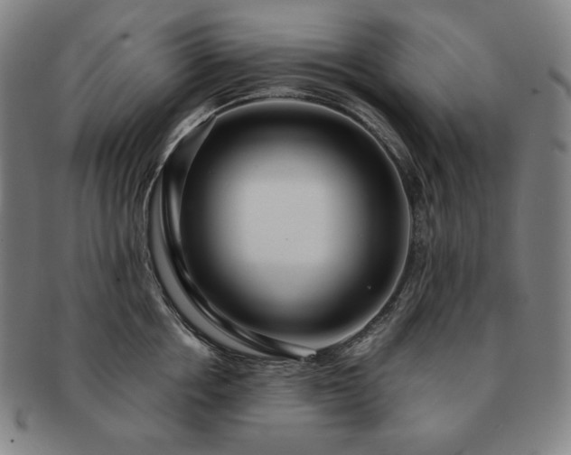 X0000091470858200708231336