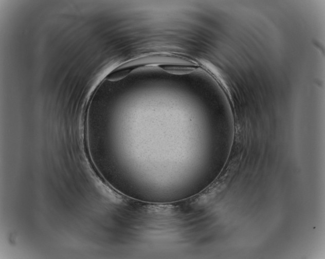 X0000091470859200708231336