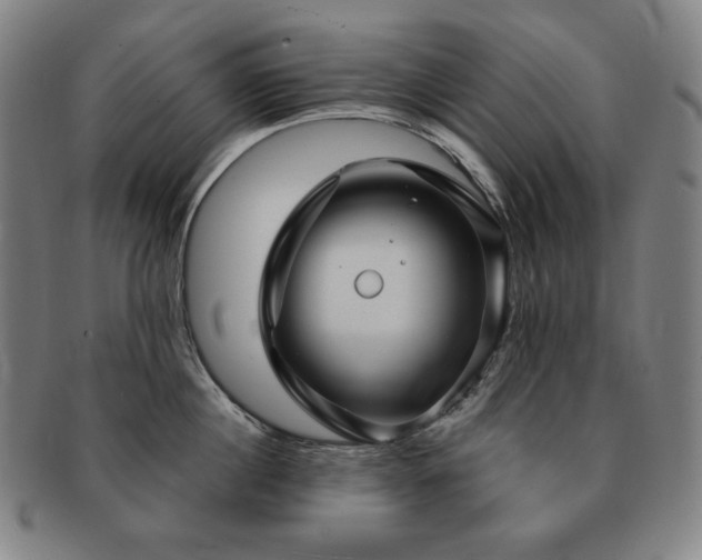 X0000091470860200708231336