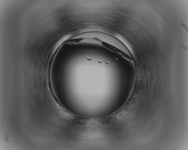 X0000091470861200708231336