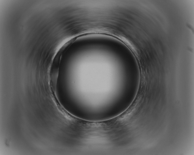 X0000091470862200708231336