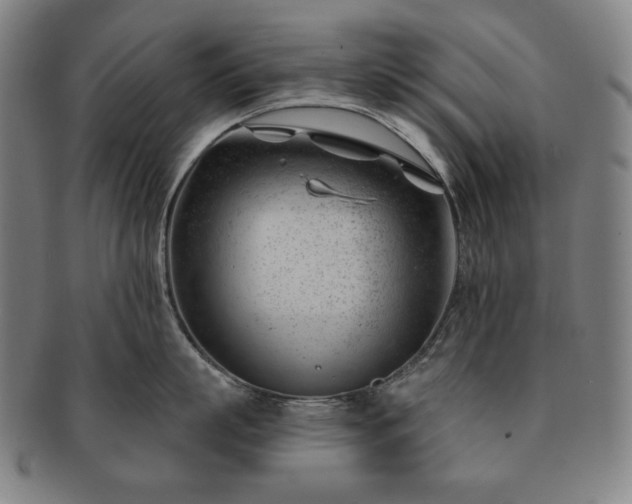 X0000091470863200708231337