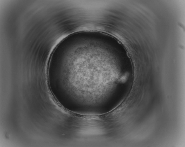 X0000091470864200708231337