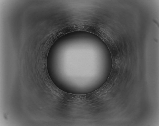 X0000091470865200708231336