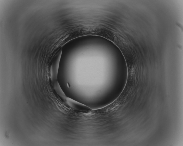 X0000091470868200708231336