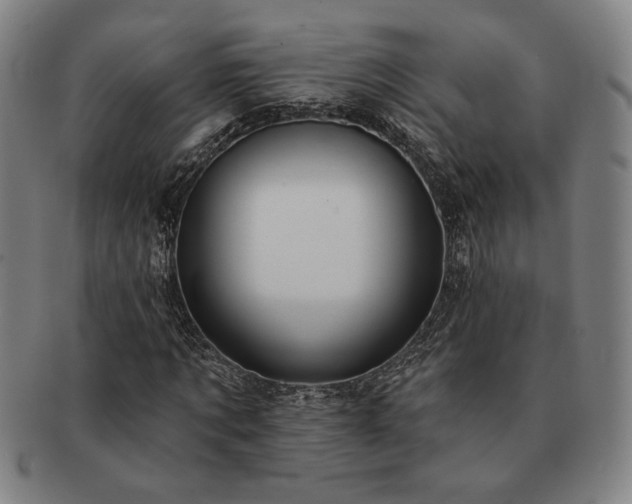 X0000091470869200708231336