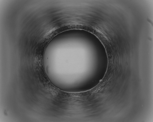 X0000091470870200708231336