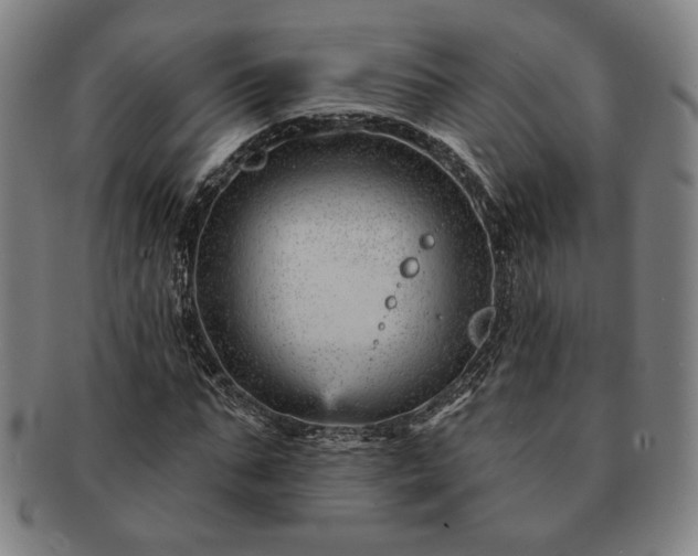 X0000091470871200708231336