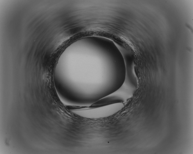 X0000091470872200708231336