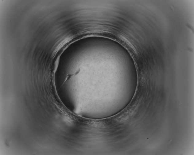 X0000091470874200708231336