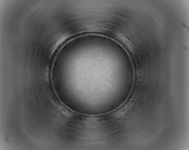 X0000091470875200708231336