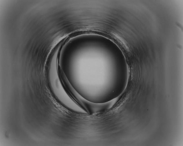 X0000091470876200708231336