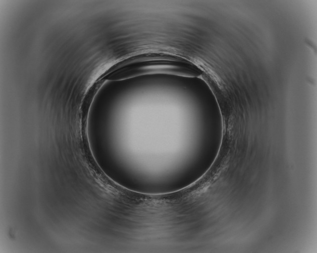 X0000091470877200708231336