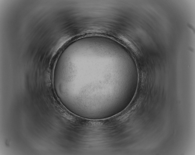 X0000091470878200708231336