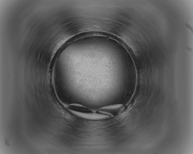 X0000091470879200708231336