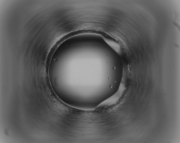 X0000091470880200708231336